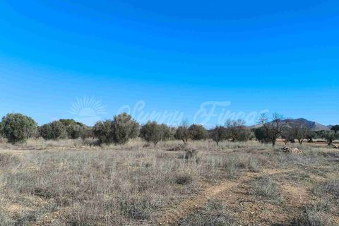 Landejendom i Yecla, Murcia, Yecla - € 195.000 | Ref: SF0556 - foto 42